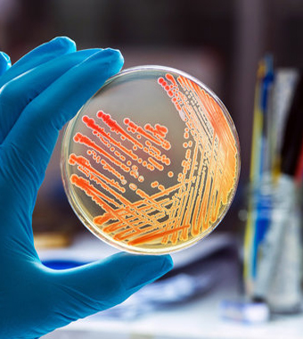 Microbiology