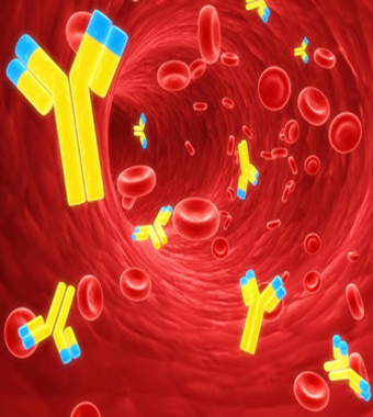 immunology
