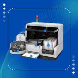 Lab U Mat 2